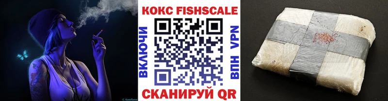 дарнет шоп  Каргополь  Cocaine FishScale 