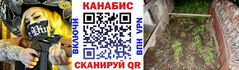 купить наркотики сайты  Каргополь  гидра зеркало  МАРИХУАНА гибрид 